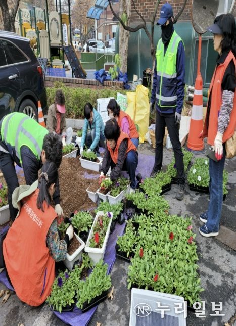 고양시 풍산동, 봄맞이 초화 식재