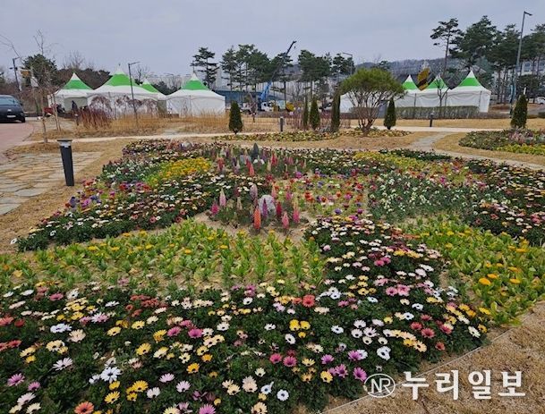 봄꽃 2만본 식재·음악벤치