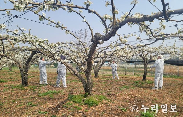 봄철 이상기후 선제 대응…원예작물 생육안정화 총력