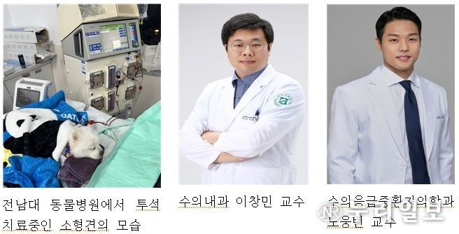 전남대 동물병원, 개소 1년 만에 혈액투석 50례 달성