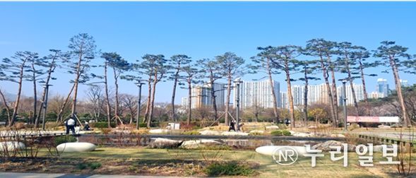 2024. 남구 평화공원(유엔평화의 숲) 기후대응 도시숲 조성사업 완료사진