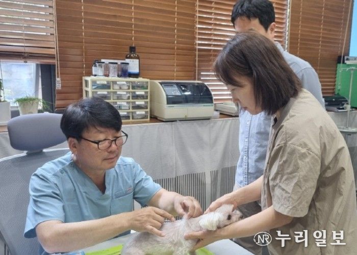 고양시, 2026 상반기 광견병 예방백신 무료 접종 실시