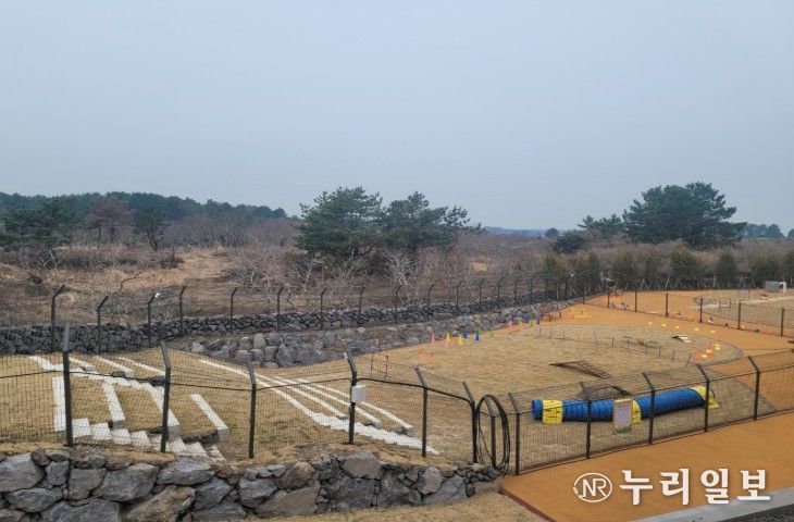 반려동물 놀이공원